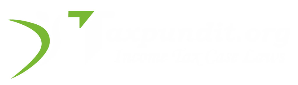 Taxpundit Logo